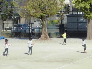 1N pW[̉ԐA