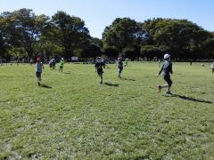 5N