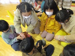 4N pW