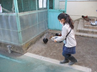 4N 犈