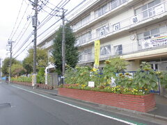 WcoZ
