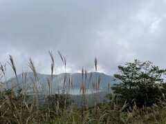 R̗lq