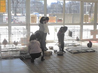 4N@犈