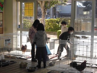 4N@犈