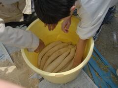 ����������