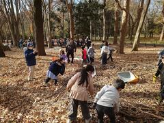 バイオネストを作っています