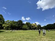 航空公園2