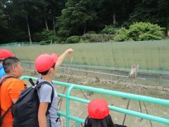 宝登山小動物公園のさるを見学しました