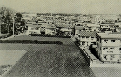 a55N