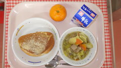 1��29���i�ؗj���j