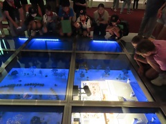 7��14���i�Ηj���j