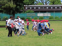 514iΗjj