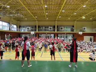 520iΗjj