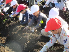 11��10���i���j���j