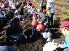 11��10���i���j���j