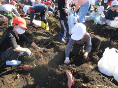 11��10���i���j���j