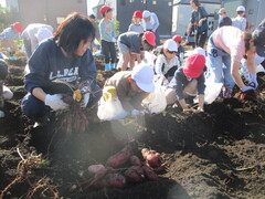 11��10���i���j���j