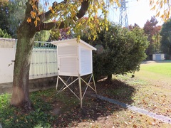 11��13���i�ؗj���j�@