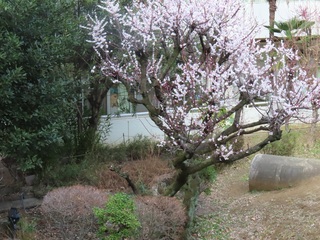 2��24���i�Ηj���j