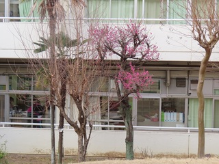 2��24���i�Ηj���j