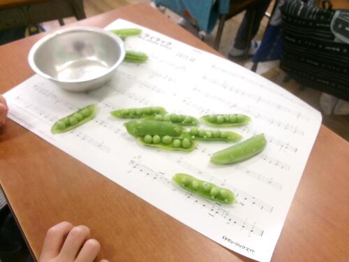 �O���[���s�[�X