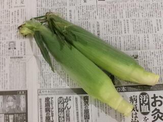 �Ƃ����낱��